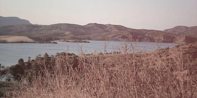 掘金新蓝海：中东、拉美、东南亚三大跨境电商市场的消费密码与破局之道