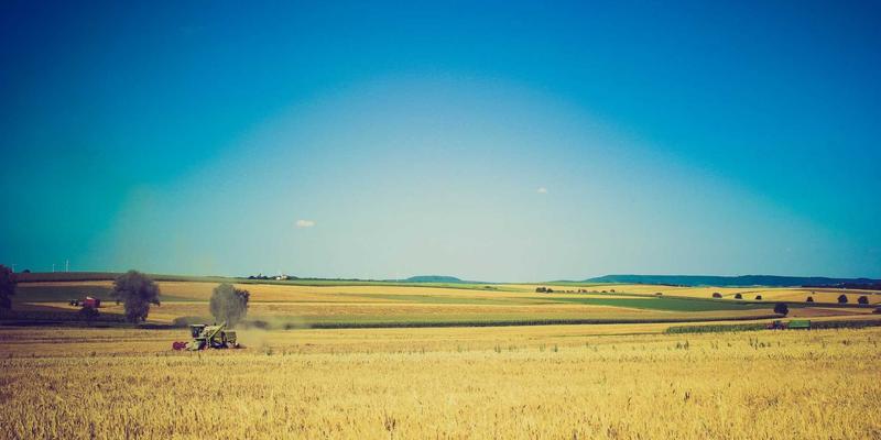 跨境电商品牌保护实战指南：从商标抢注到平台跟卖，JPair168供应链视角下的防御策略